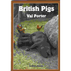 British Pigs - Used