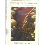 The Lightening Thread - Used book The Lightening Thread - Used book